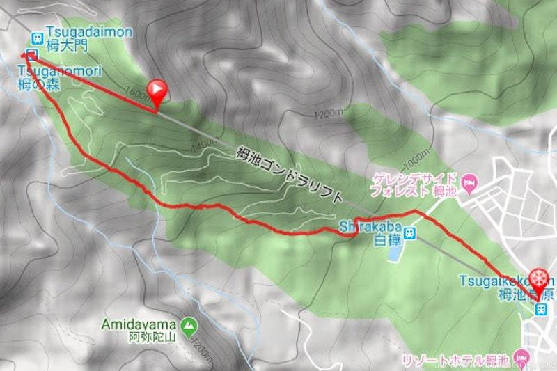 ski track overlay on map for Tsugaike Ski Resort - Hakuba Travel and Ski Guide | www.justonecookbook.com