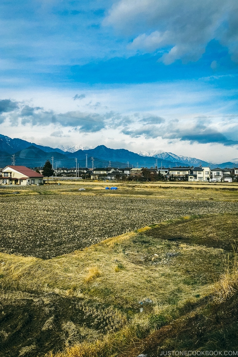 Ikeda city scenery with mountain in the background - Hakuba Travel and Ski Guide | www.justonecookbook.com