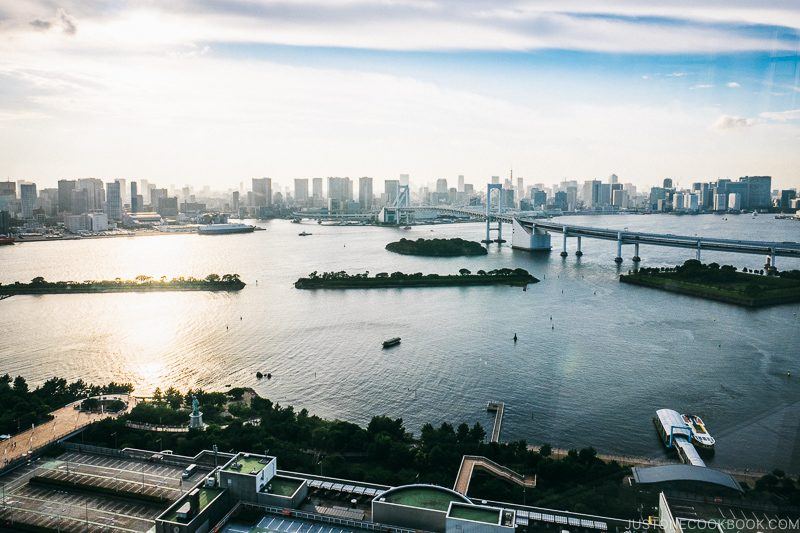 view of Tokyo and Rainbow Bridge from Fuji Television "HACHITAMA" Spherical Observation Room - Tokyo Odaiba Travel Guide | www.justonecookbook.com