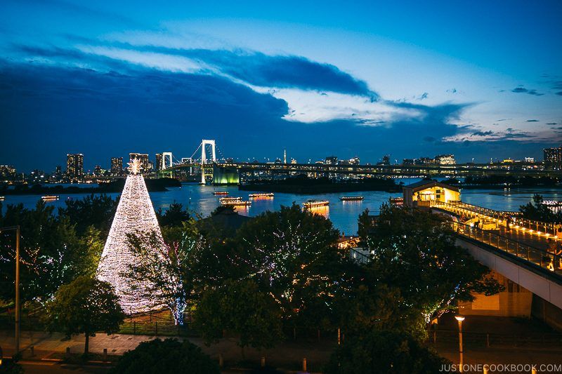 nighttime view of Rainbow Bridge from Odaiba - Tokyo Odaiba Travel Guide | www.justonecookbook.com