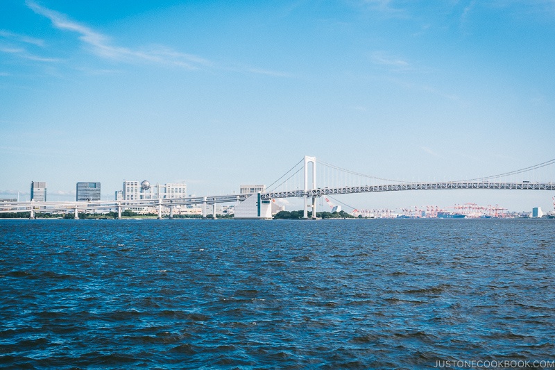 view of Odaiba and Rainbow Bridge - Tokyo Cruise | www.justonecookbook.com