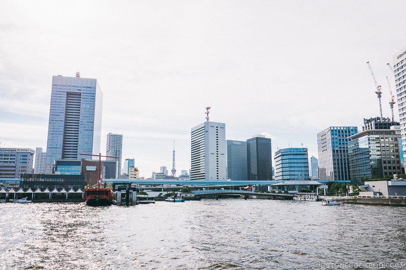 Hamamatsucho Station and Tokyo Tower from Sumida River - Tokyo Cruise | www.justonecookbook.com