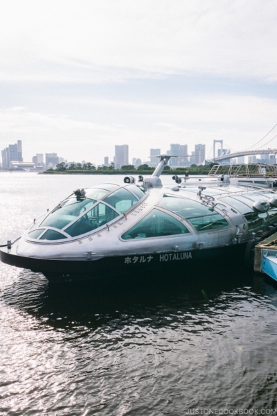 Tokyo Cruise HOTALUNA docked at Odaiba Pier - Tokyo Cruise | www.justonecookbook.com