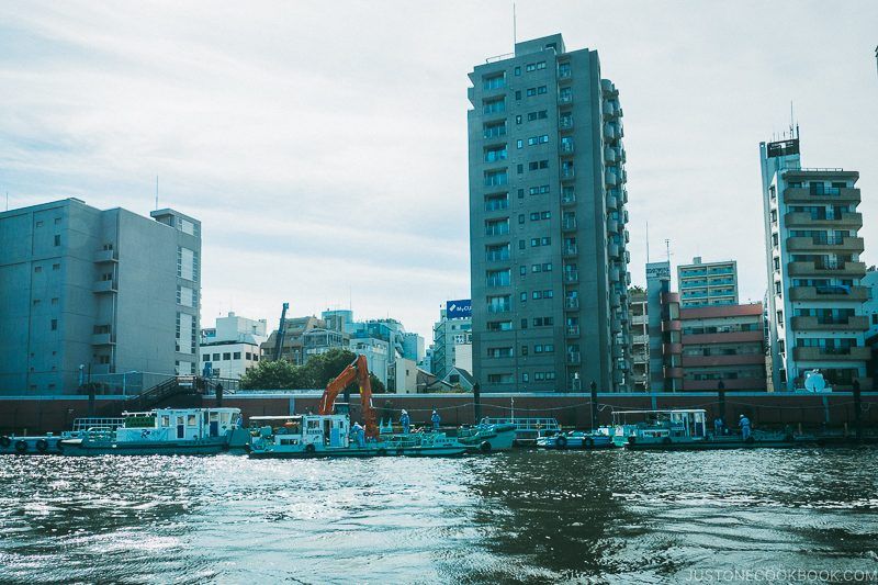 view of riverbank and building from Sumida River - Tokyo Cruise | www.justonecookbook.com