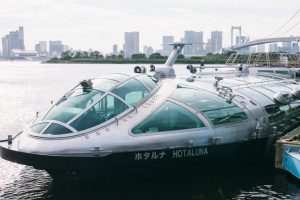 Tokyo cruise guide