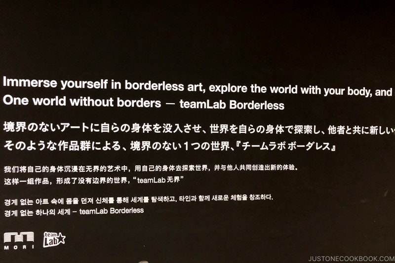 statement from teamLab Borderless at Mori Art Building - teamLab Borderless Odaiba Tokyo | www.justonecookbook.com