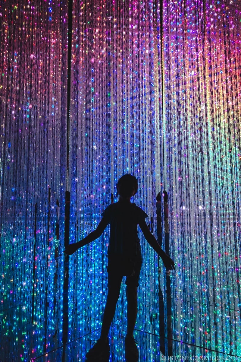 child in Crystal World - teamLab Borderless Odaiba Tokyo | www.justonecookbook.com