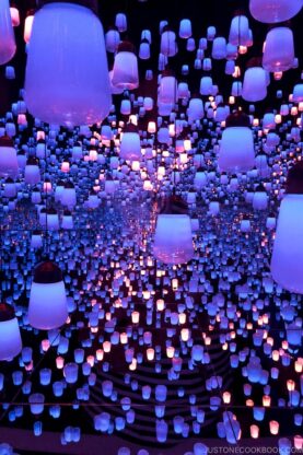 Forest of Lamps - teamLab Borderless Odaiba Tokyo | www.justonecookbook.com