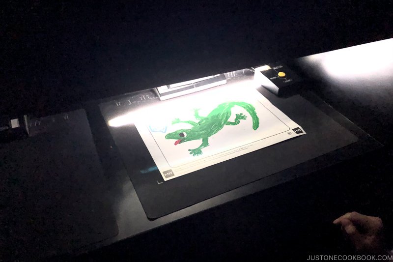 lizard print being scanned