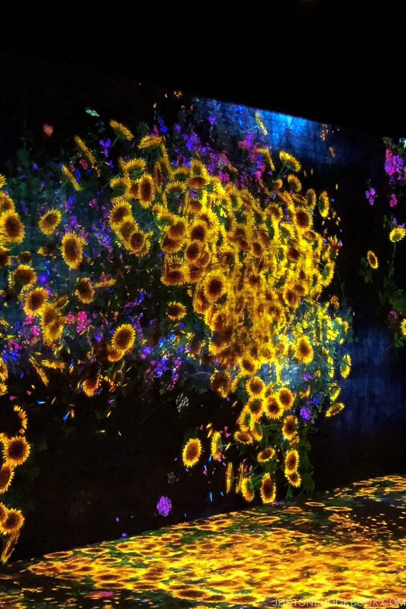 Forest of Flowers and People: Lost, Immersed and Reborn - teamLab Borderless Odaiba Tokyo | www.justonecookbook.com