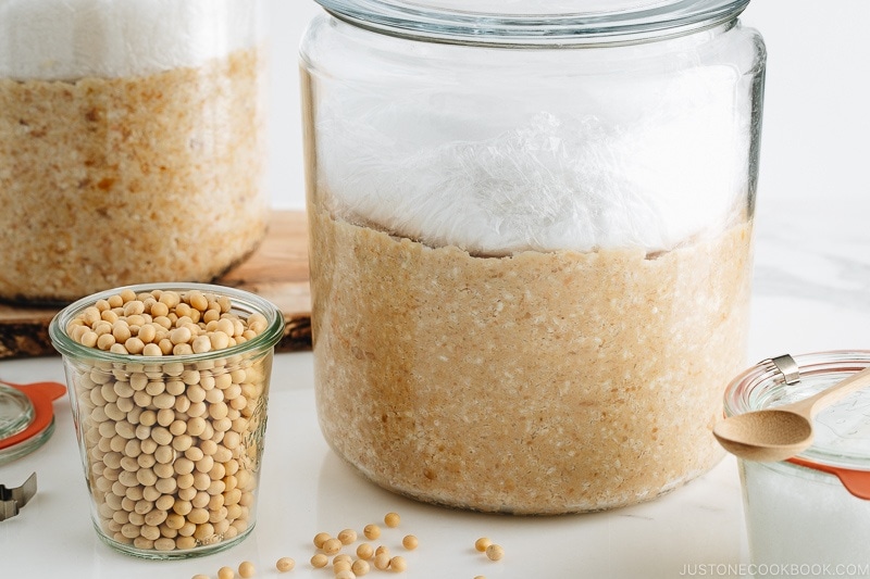 Homemade miso is in the making; soybeans, salt, and koji mixture in a glass jar.