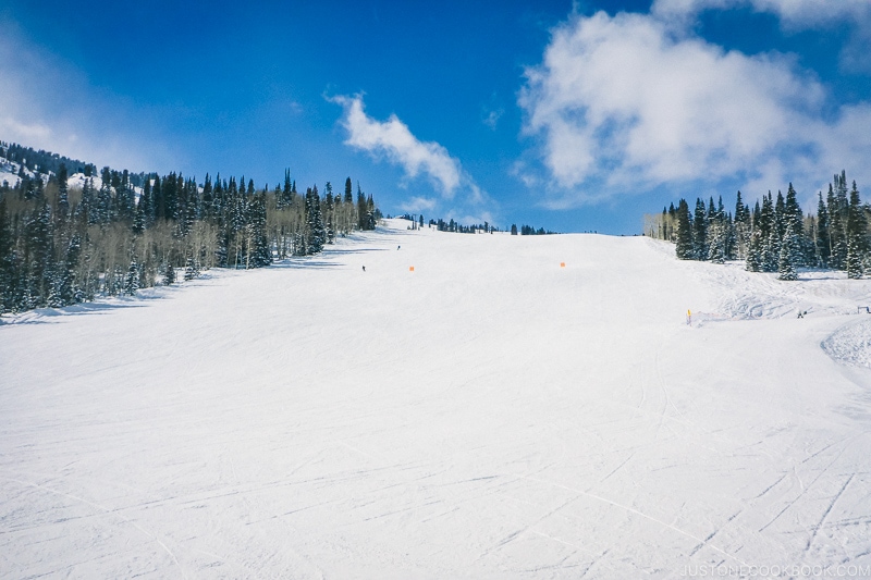 main street ski run at Solitude Mountain Resort - Ski Vacation Planning in Utah | www.justonecookbook.com