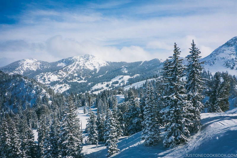 looking at Brighton from Solitude Mountain Resort - Ski Vacation Planning in Utah | www.justonecookbook.com