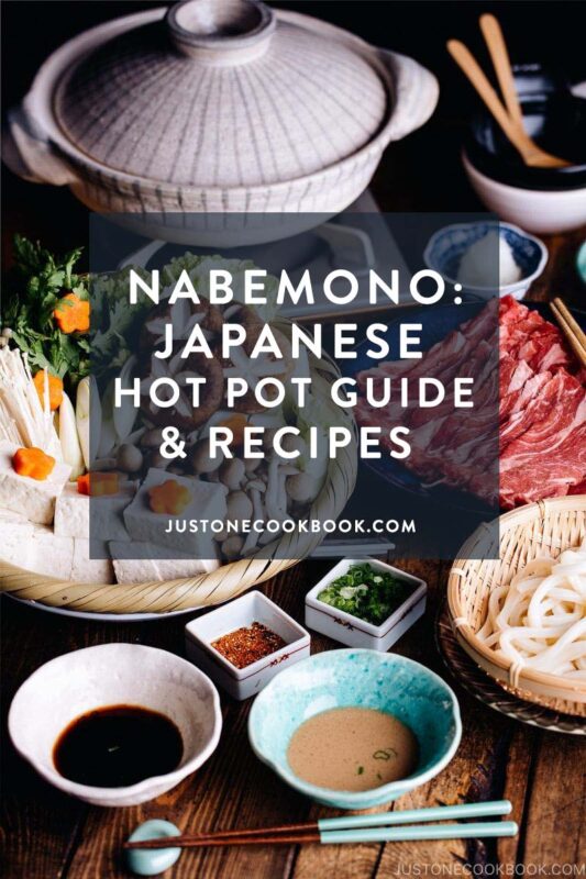 Nabe A Guide to Japanese Hot Pot 鍋物 • Just One Cookbook