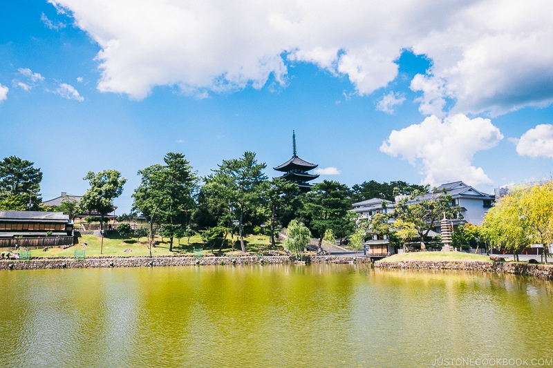 Sarusawa Pond - Nara Guide: Things to do in Nara | www.justonecookbook.com