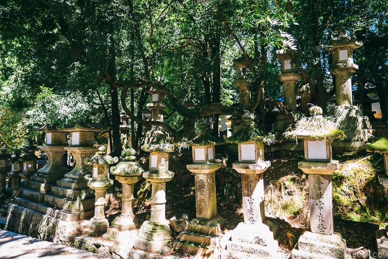 lanterns along the walkway | Nara Guide: Kasuga-taisha | www.justonecookbook.com