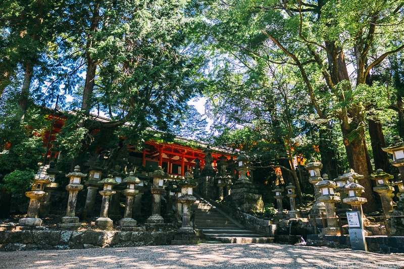 lanterns and trees next to the entrance | Nara Guide: Kasuga-taisha | www.justonecookbook.com