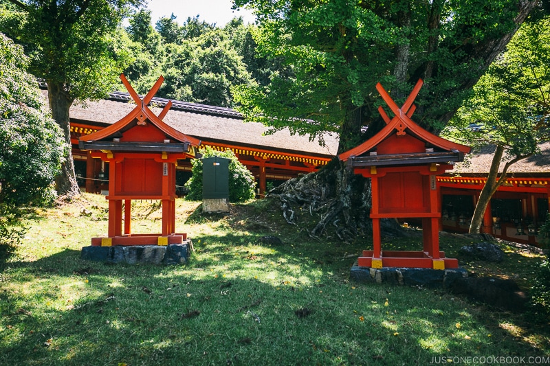 trees and shrines inside the courtyard - Nara Guide: Kasuga-taisha | www.justonecookbook.com