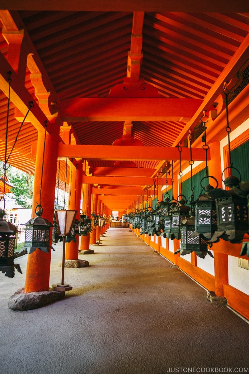 lanterns hanging in the hallway - Nara Guide: Kasuga-taisha | www.justonecookbook.com