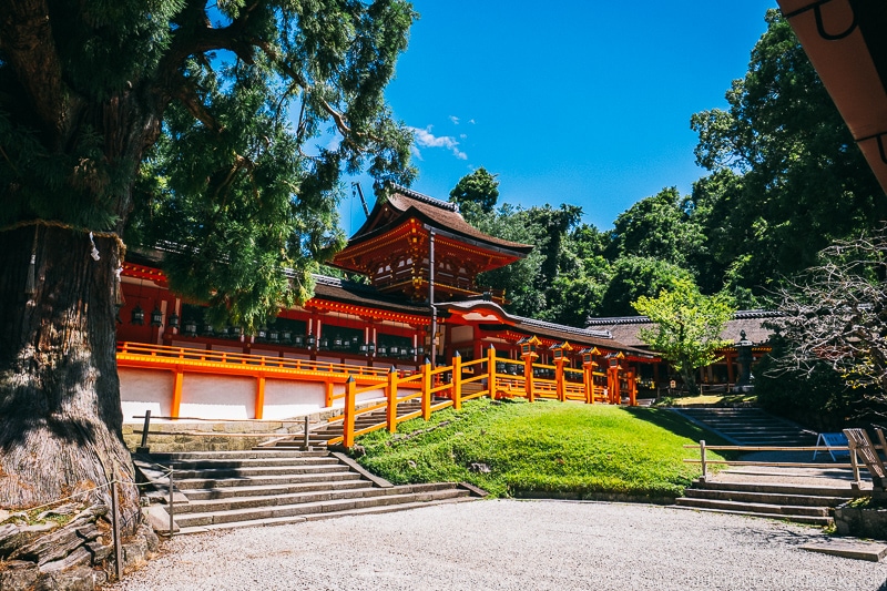 Kasuga Taisha - Nara Guide: Historical Nara Temples and Shrine | www.justonecookbook.com
