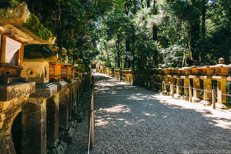 path lined with lantern to Wakamiya Shrine - Nara Guide: Kasuga-taisha | www.justonecookbook.com