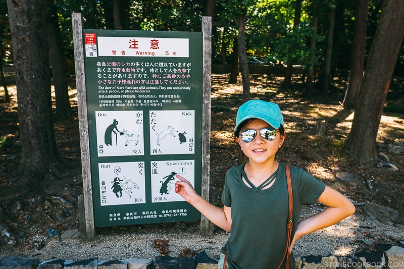 child next to warning signs for deers - Nara Guide: Kasuga-taisha | www.justonecookbook.com