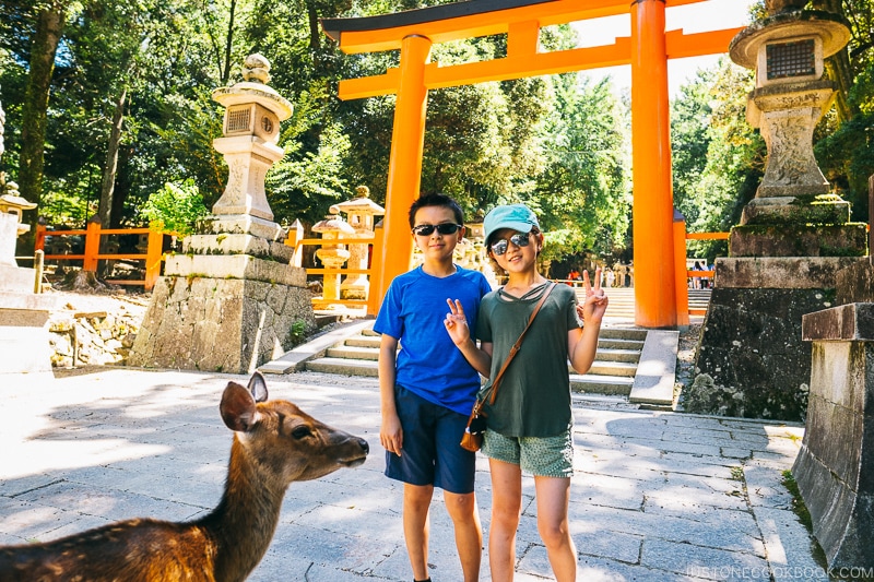 children with a deer | Nara Guide: Kasuga-taisha | www.justonecookbook.com