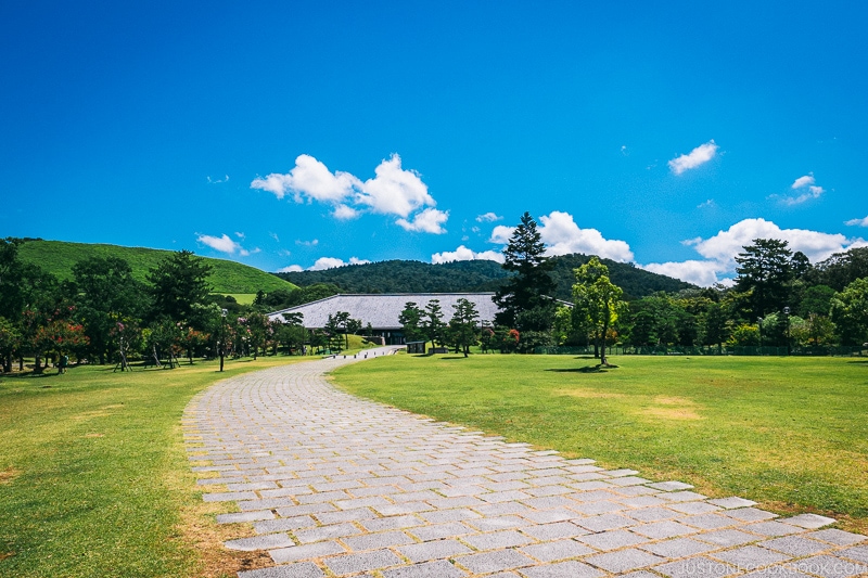 pathway to Nara Kasugano International Forum at Nara Park - Nara Guide: Things to do in Nara | www.justonecookbook.com