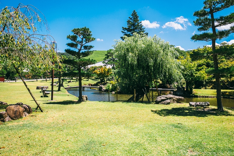 pond inside Nara Park - Nara Guide: Things to do in Nara | www.justonecookbook.com