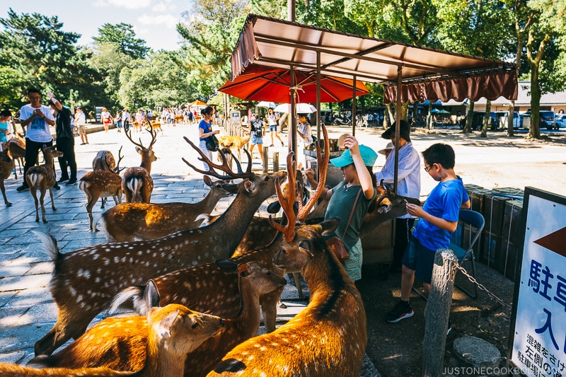 vendors selling deer feed - Nara Guide: Todaiji | www.justonecookbook.com