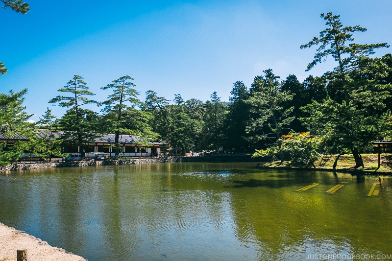 large pond outside Todaiji - Nara Guide: Todaiji | www.justonecookbook.com