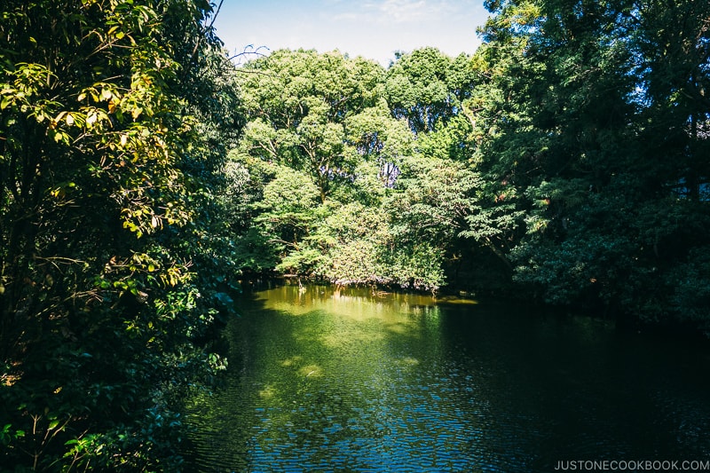 pond at Toshodaiji - Nara Guide: Historical Nara Temples and Shrine | www.justonecookbook.com