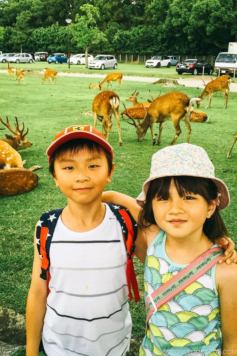 children in front of deers at Nara Park - Nara Guide: Things to do in Nara | www.justonecookbook.com