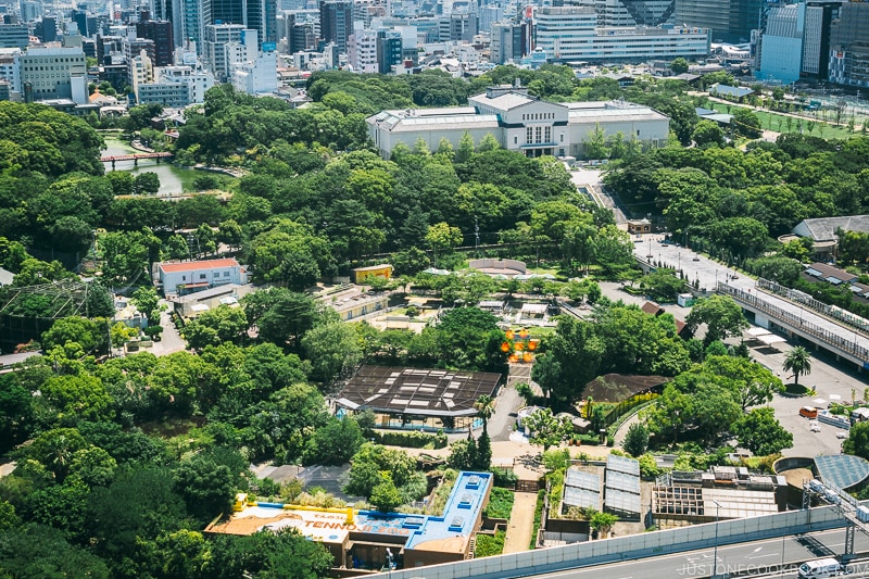  Tennoji Park from Tsutenkaku Tower - Osaka Guide: Tsutenkaku and Shinsekai District | www.justonecookbook.com