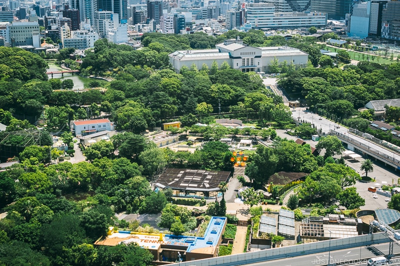 Tennoji Park from Tsutenkaku Tower - Osaka Guide: Tsutenkaku and Shinsekai District | www.justonecookbook.com
