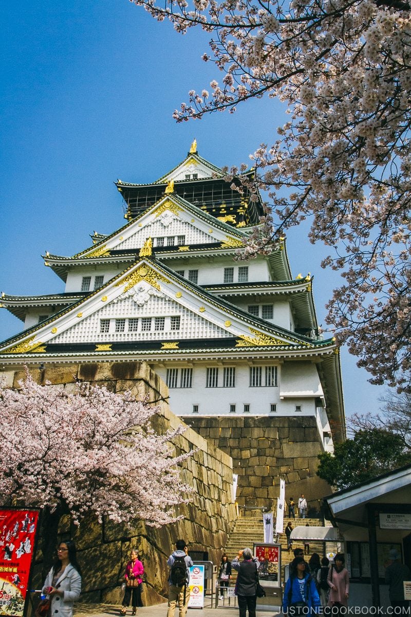 Osaka Castle during cherry blossom - Osaka Guide: Osaka Castle| www.justonecookbook.com