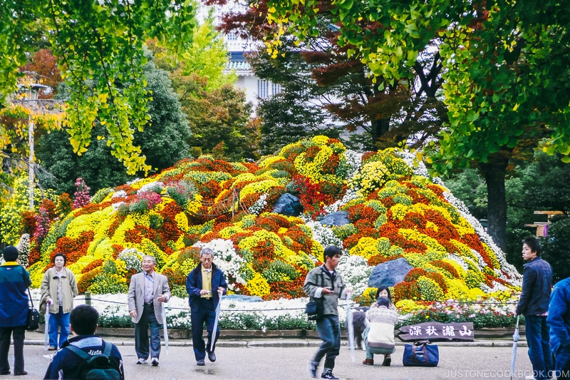 a mountain of flowers on display - Osaka Guide: Osaka Castle| www.justonecookbook.com