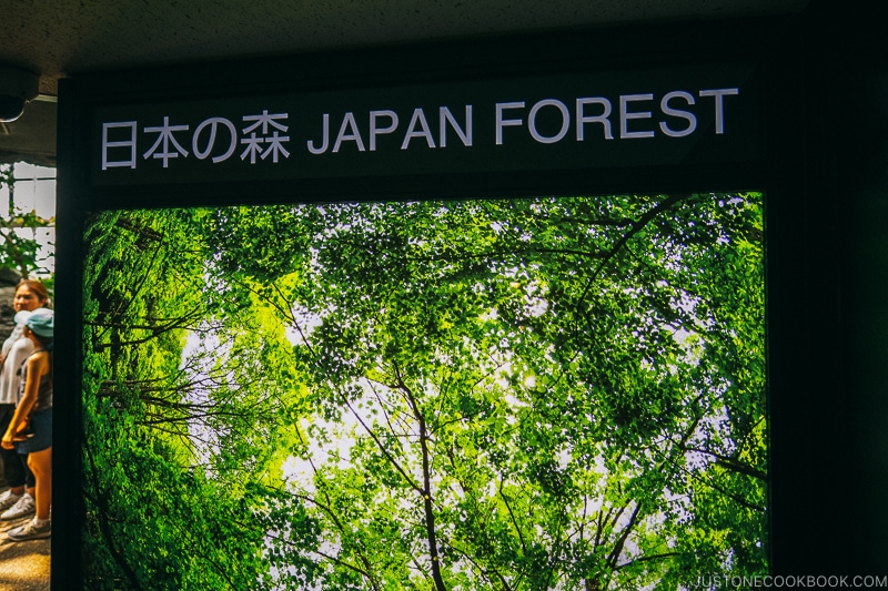 Japan Forest sign at Kaiyukan - Osaka Guide: Tempozan Harbor Village | www.justonecookbook.com