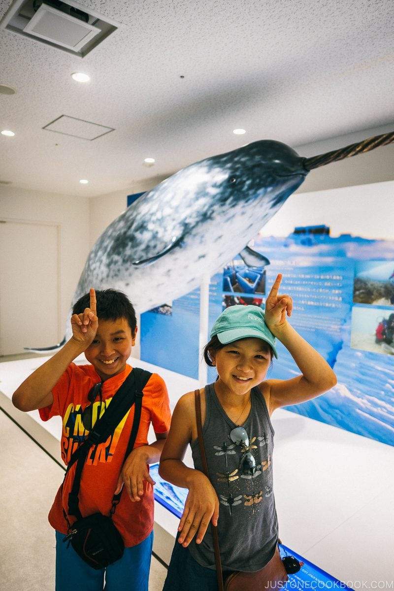 replica of prehistoric ocean fish at Kaiyukan - Osaka Guide: Tempozan Harbor Village | www.justonecookbook.com