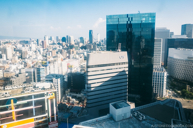 view of Osaka skyline from HEP FIVE FERRIS WHEEL - Osaka Guide: Umeda | www.justonecookbook.com