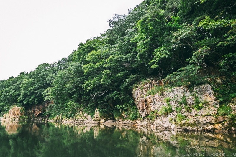 the scenery from the Kinugawa boat ride - Nikko Travel Guide : Kinugawa Onsen | www.justonecookbook.com