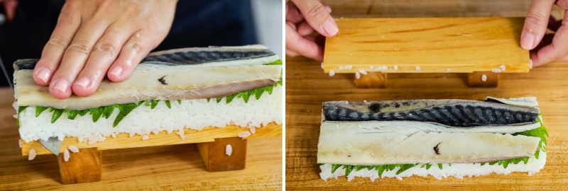 Mackerel Pressed Sushi 20