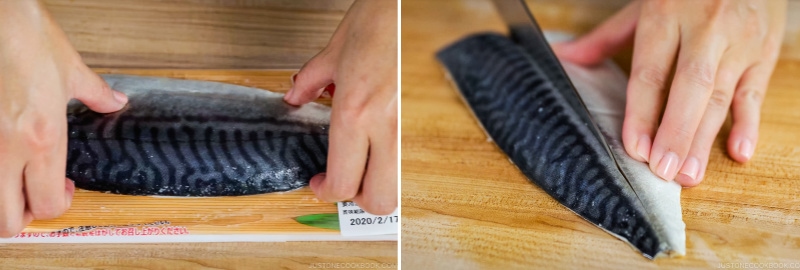 Mackerel Pressed Sushi 8