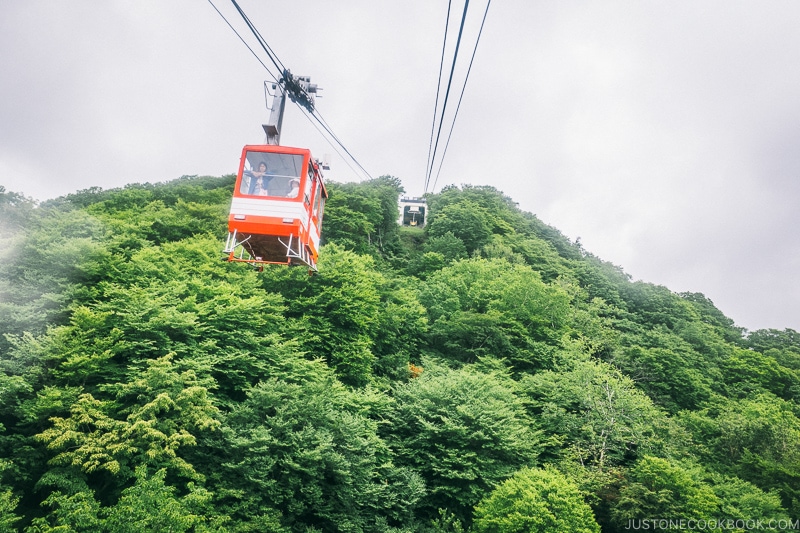 Akechidaira Ropeway - Kegon Falls and Akechidaira Plateau | www.justonecookbook.com