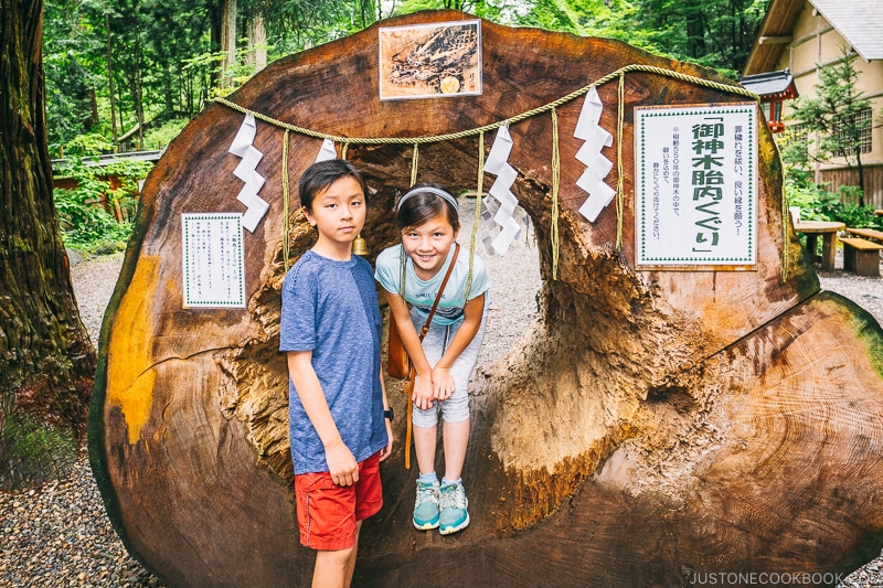 two child next to a hallowed out tree at Nikko Futarasan Jinja - Places to Visit and Things to do in Nikko | www.justonecookbook.com