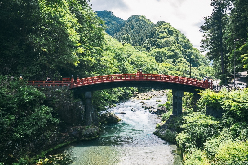 bridge over a river in a forested area