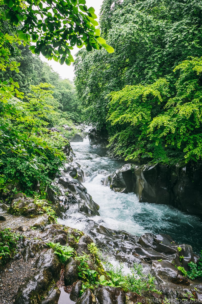 Kanmangafuchi Abyss 憾満ヶ淵- Places to Visit and Things to do in Nikko | www.justonecookbook.com