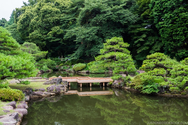 Shinjuku Gyoen National Garden - Lost Wallet in Japan What to Do | www.justonecookbook.com