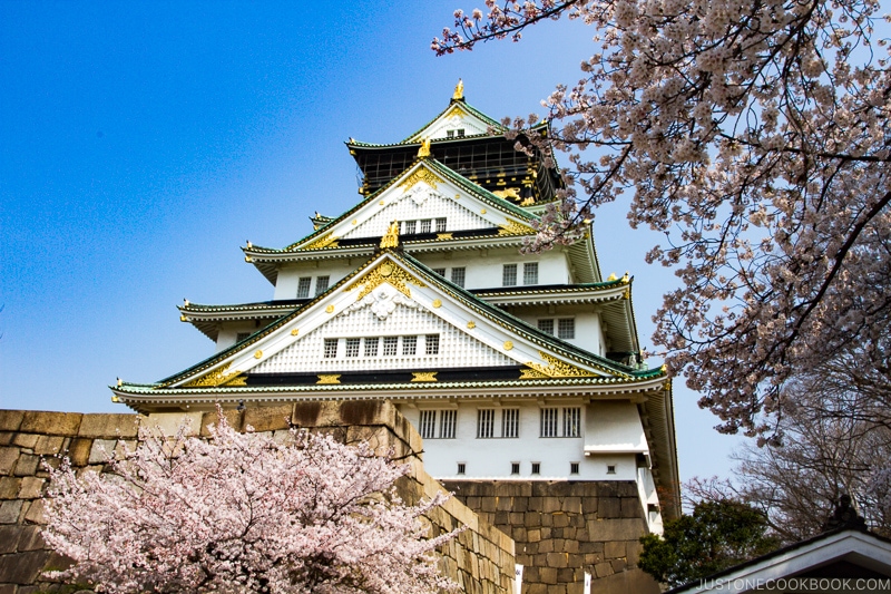 Osaka Castle during cherry blossom - Insiders' Guide for For First Time Visitors to Japan | www.justonecookbook.com