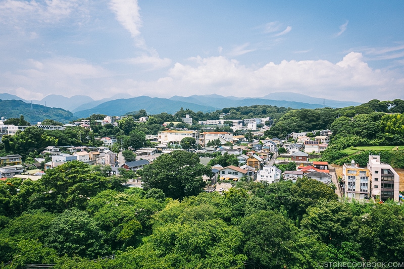 Looking west towards Hakone from the Odawara Castle observatory - Odawara Castle Guide | www.justonecookbook.com 